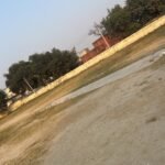 Cricket Practice Net